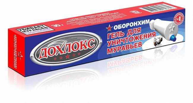 20 способів боротьби з мурахами в приватному будинку та квартирі