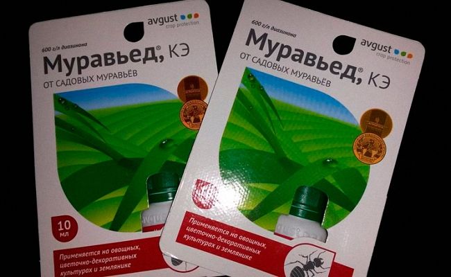 Застосування засобу Мурахоїд проти мурах