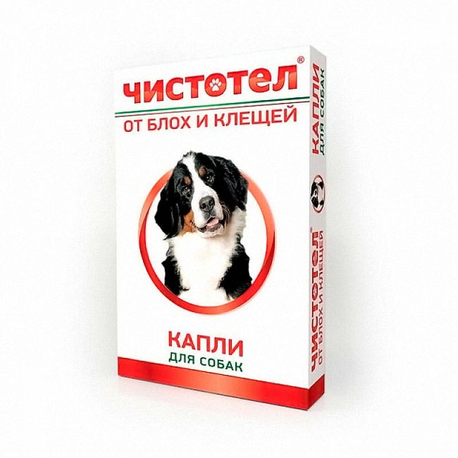 Рейтинг кращих крапель від бліх та кліщів для собак