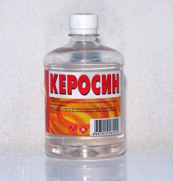 Як ефективно боротися з тарганами