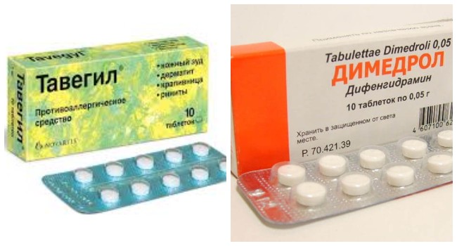 Що робити, якщо вихованця покусали бджоли
