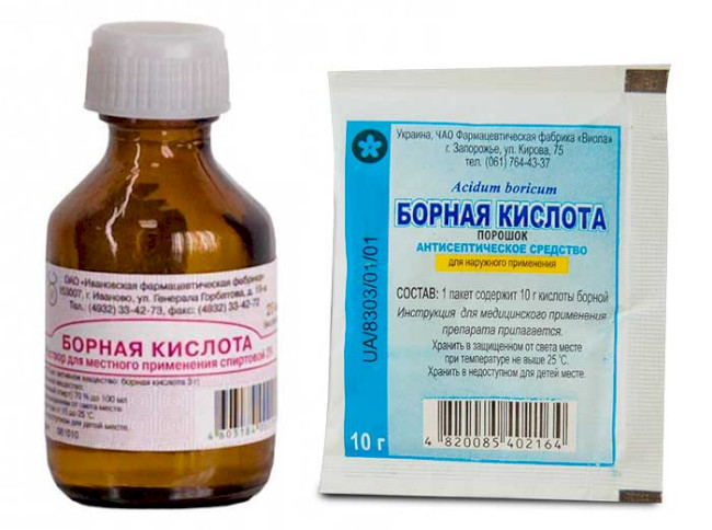 20 способів обробки полуниці від довгоносика