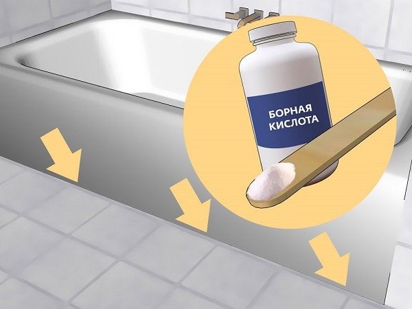 Білі жучки у ванній: що за звір та як з ним боротися?