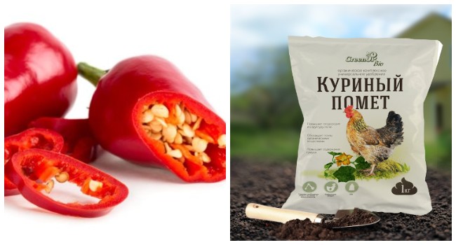 Чим цькувати гусениць на капусті: ефективні народні засоби від шкідників