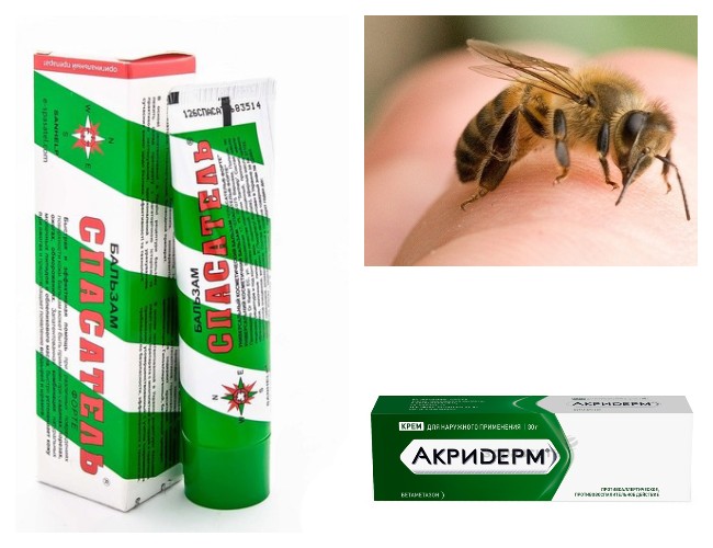Лікуємо бджолиний укус у дитини
