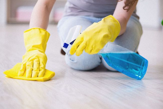 Способи боротьби з мурашками в будинку