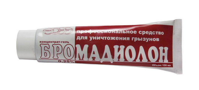 Чим цькувати щурів та мишей у домашніх умовах