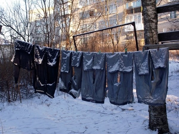 За якої температури гинуть постільні клопи?