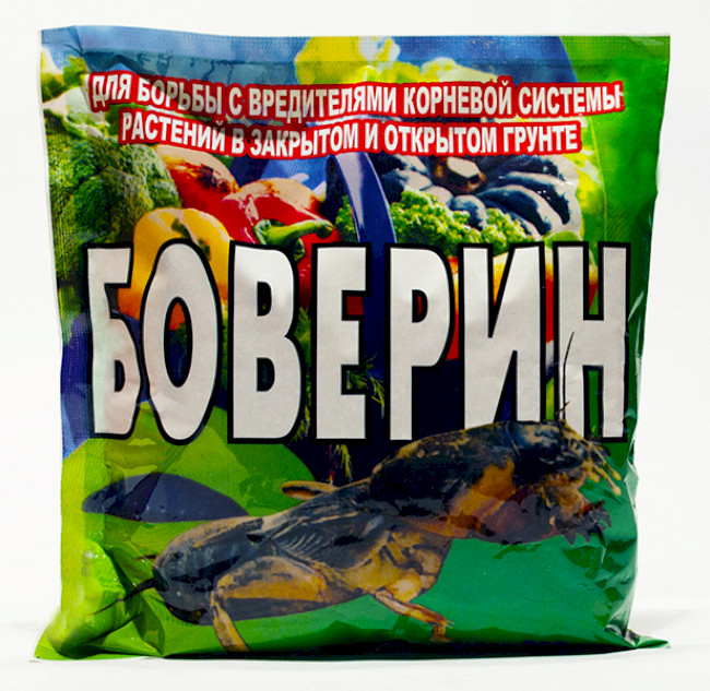 15 ефективних засобів у боротьбі з капустянкою