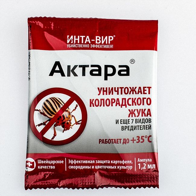 Як правильно застосовувати препарат Корадо від колорадського жука