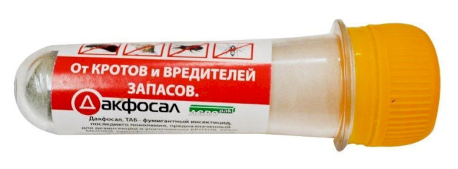 Методи боротьби з крітами та землерийками на дачній ділянці