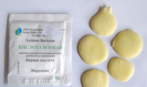 Як ефективно боротися з тарганами