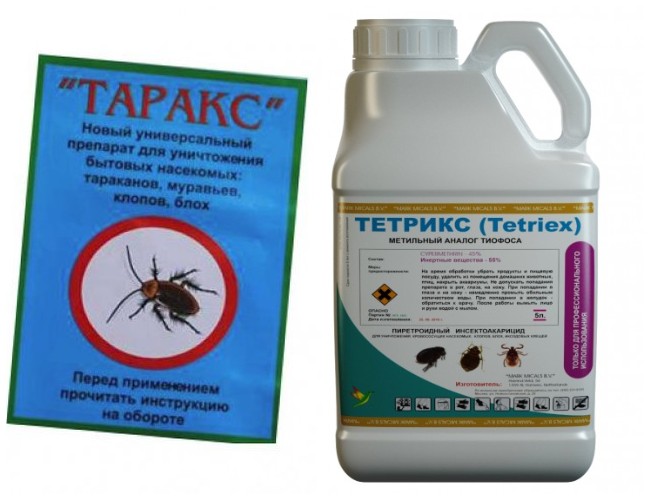 Як швидко та ефективно вивести мокриць із квартири