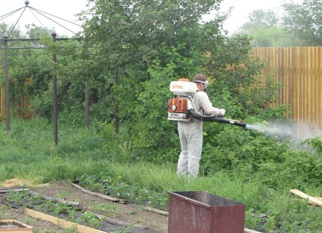 Знищення комарів на дачі