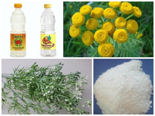 Знищити клопів у квартирі: 5 ефективних способів