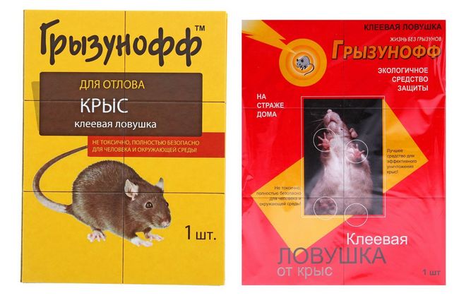 Різновиди пасток для щурів