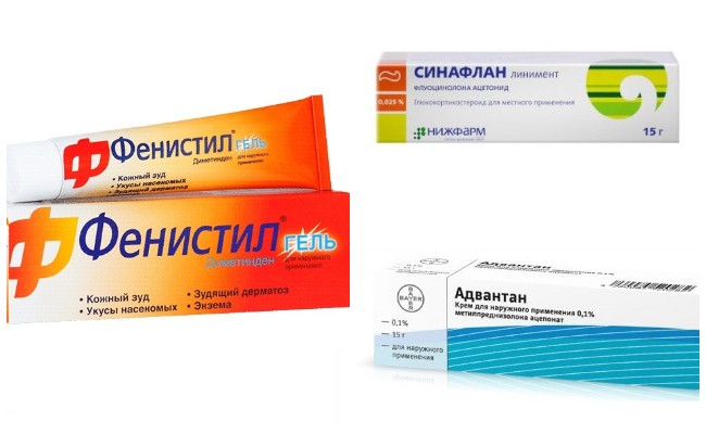 Прояви комариних укусів, лікування та способи запобігання