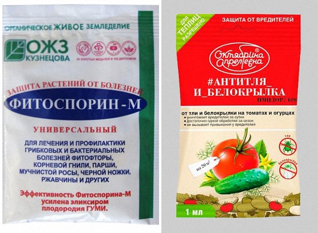 Ефективні народні засоби та хімікати у боротьбі з білокрилкою