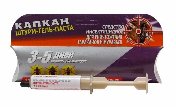 Чим цькувати мурах у квартирі: огляд кращих засобів