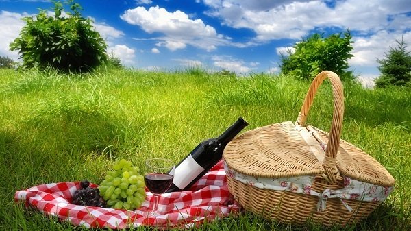 10 причин появи клопів у квартирі чи будинку