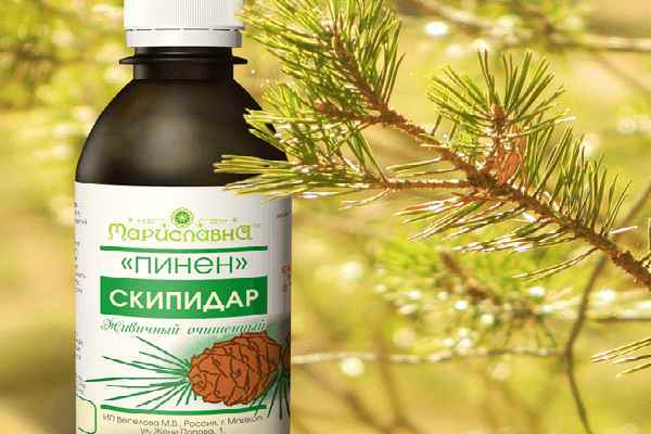 Боротьба з меблевими (постільними) клопами