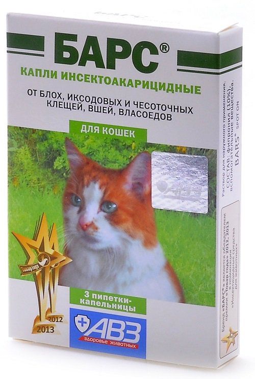Найефективніший засіб від бліх для котів