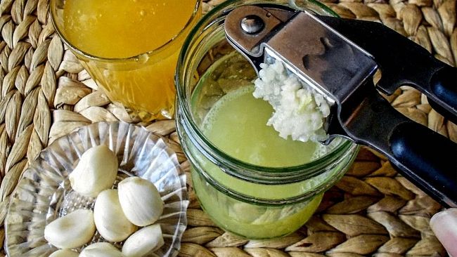 18 способів позбутися мошок у кімнатних квітах