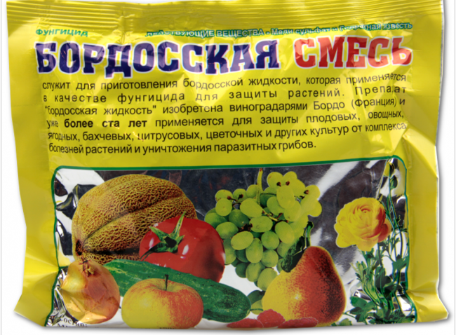 Як позбутися попелиці на деревах і чагарниках на садовій ділянці