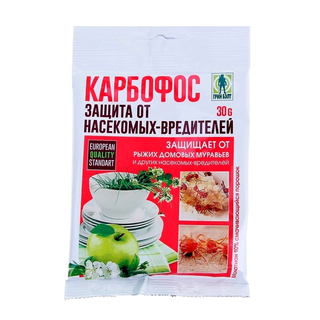 Ефективні способи та засоби боротьби з лусницями у квартирі
