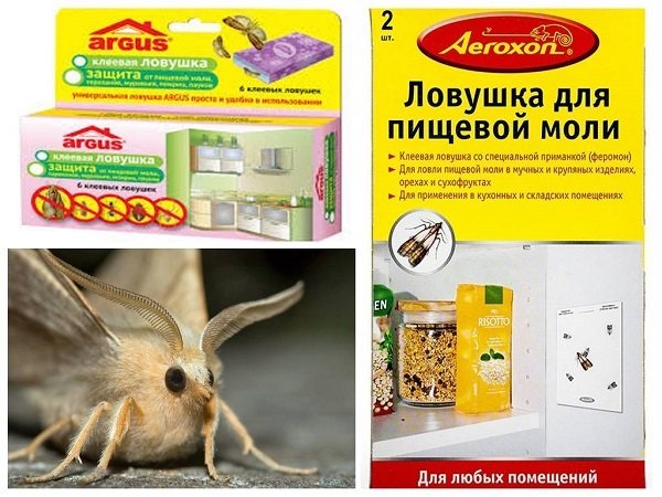 Що робити, якщо у крупах завелася міль?