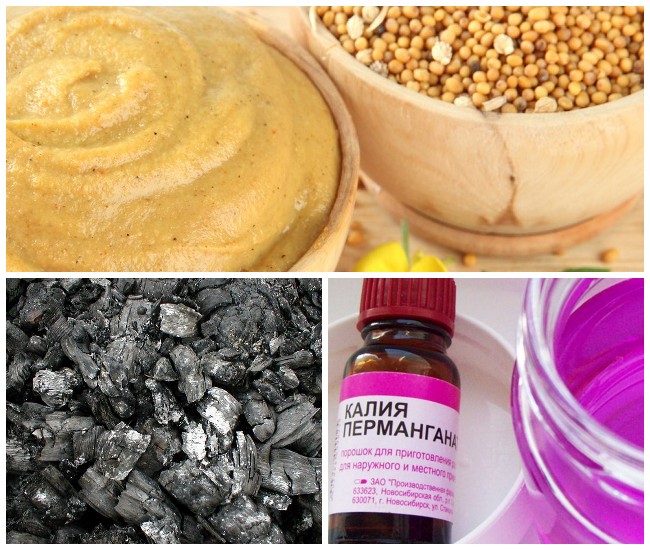 Найефективніші засоби для захисту та обробки картопляного поля від дротяника