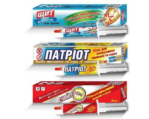 Чим цькувати мурах у квартирі: огляд кращих засобів