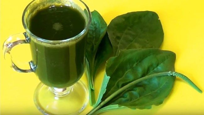 Чим небезпечні укуси мошок і як лікувати місця укусу