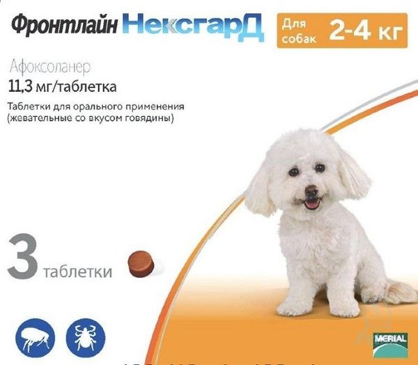 Чим обробити собаку від кліщів: 15 кращих засобів