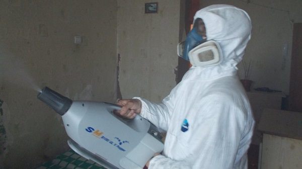Як знищити тарганів у квартирі раз і назавжди