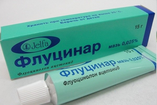 Що робити, якщо покусали клопи та як уникнути укусів?