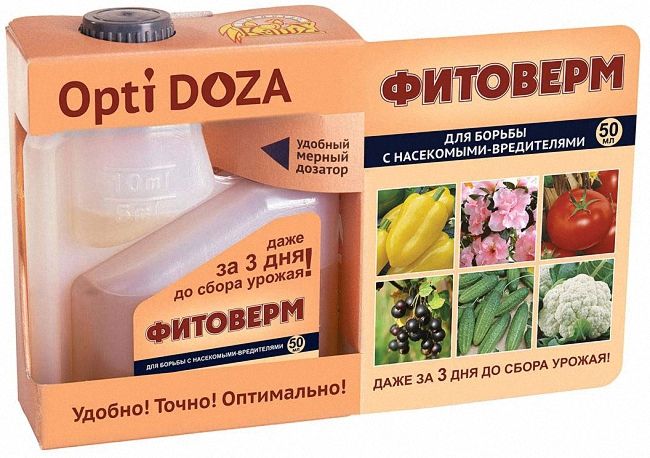 Як позбутися павутинних кліщів на огірках у теплиці: хімічні та народні засоби