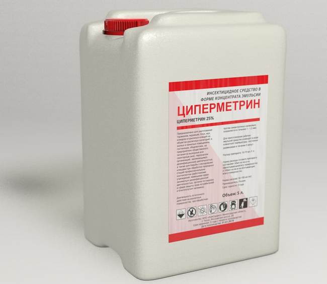 Довгоносики на груші: як боротися