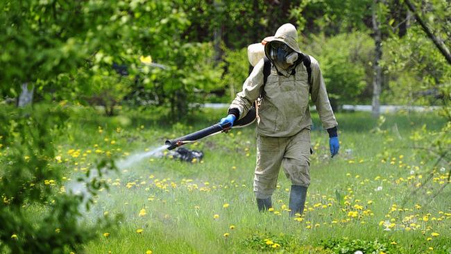 10 засобів для обробки дачної ділянки від комарів та кліщів