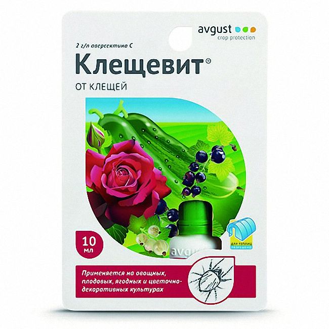 Як позбутися павутинних кліщів на огірках у теплиці: хімічні та народні засоби