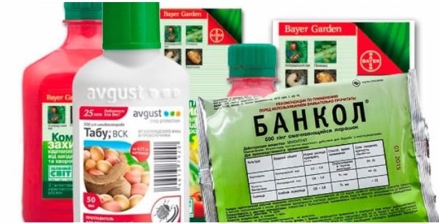 Найкращі ефективні хімічні засоби проти колорадського жука