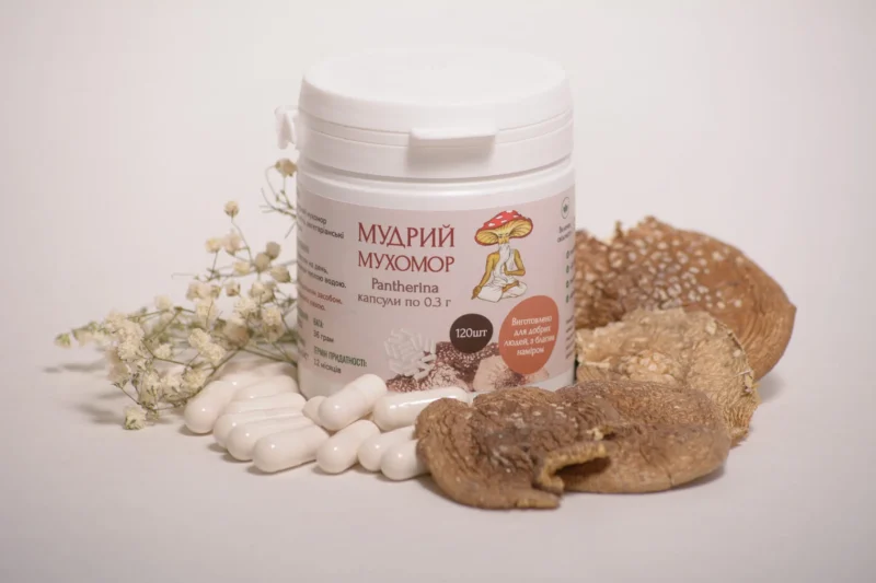 Пантерный мухомор - микродозинг
